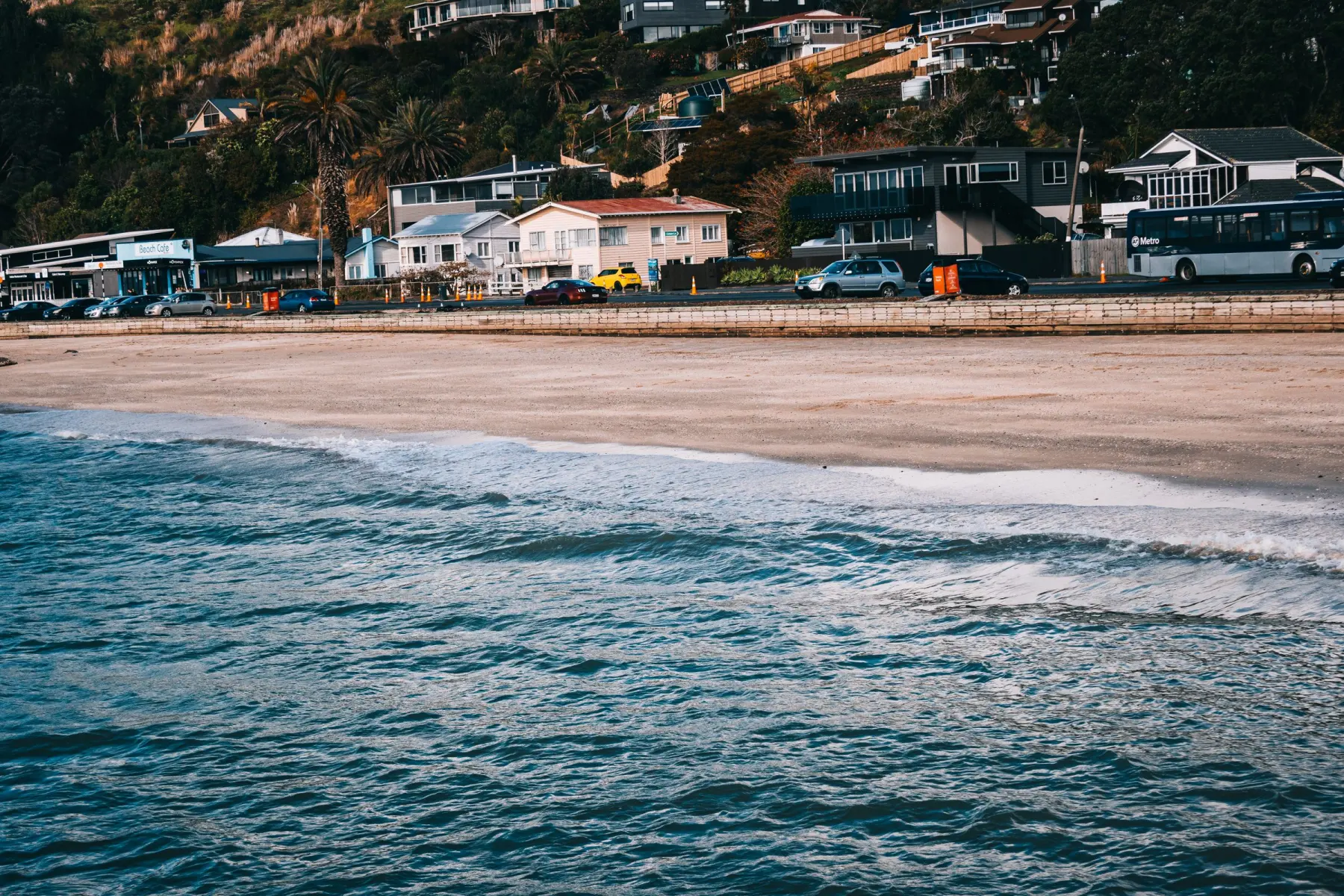 Auckland coastal suburb with homes above the beach