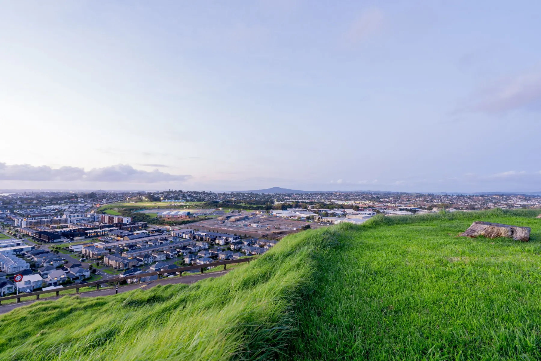 Auckland viewed from a green volcanic hillside